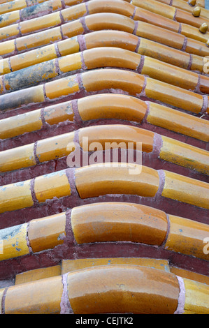 Tuile terre cuite détails détails Forbidden City Beijing coloré décorer décoration design fonctionnalité Banque D'Images