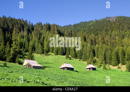 Paysage pittoresque dans les Tatras en Pologne, de simples cabanes en bois sur le pré Banque D'Images