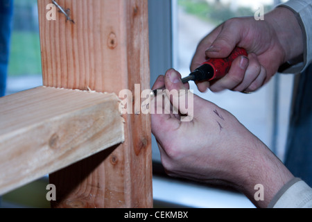 Type cruciforme à tête bombée en bois et utilisée par un constructeur dans une maison pour les améliorations à la maison bricolage Banque D'Images