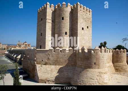 Espagne, Andalousie, Cordoue, Calahorra Tower Banque D'Images