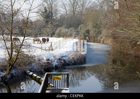 Twyford lock river stort Bishops Stortford herts angleterre Banque D'Images