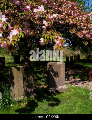 Co Laois, Rosenallis, 1700, le plus ancien cimetière Quaker en Irlande Banque D'Images