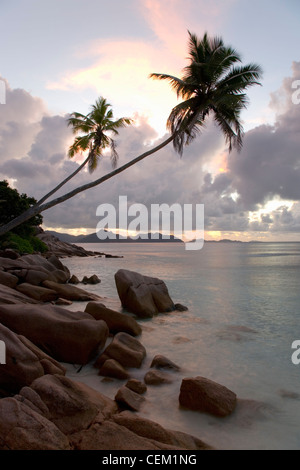 Anse Sévère, La Digue, Seychelles. Afficher le long de la côte rocheuse de l'île de Praslin, crépuscule, surplombant des palmiers et des personnalités. Banque D'Images