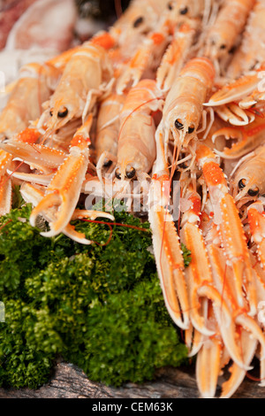 Un tas de Langoustine très frais à vendre dans un stand de poissonnier à Borough Market Londres Angleterre Royaume-Uni Banque D'Images