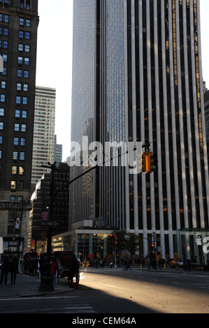 Soleil du matin portrait 5ème Avenue des gratte-ciel, les pigeons, les calèches stationné, West 59th Street Grand Army Plaza, New York Banque D'Images