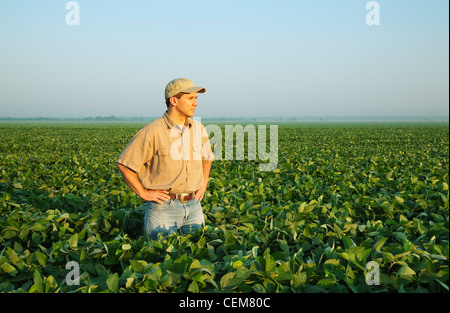 Un agriculteur (producteur) donne sur son domaine et examine la récolte de soja de croissance au milieu et à la fin de la formation des gousses étape/USA. Banque D'Images