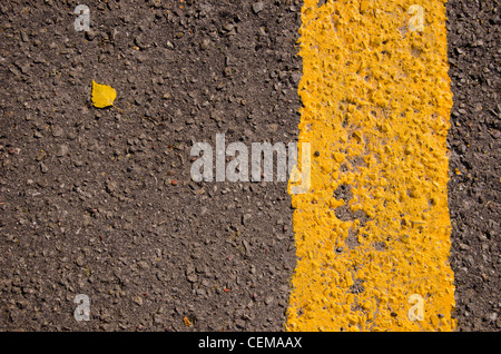 Gros plan d'asphalte ligne jaune marquage routier et de petites feuilles de bouleau. Banque D'Images