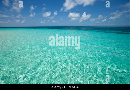 Les eaux claires de Vlassof Cay - un sable cay près de Cairns. Great Barrier Reef Marine Park, Queensland, Australie Banque D'Images