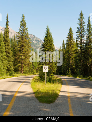 Bow Valley Parkway divise pour un arbre, la route 1A, près de Banff, Alberta, Canada. Banque D'Images