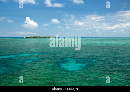 Vue aérienne de l'Île Green - un Coral Cay près de Cairns. Grande Barrière de Corail, Queensland, Australie Banque D'Images