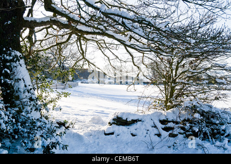 Scène de la neige dans les Pennines près de Huddersfield, Yorkshire de l'Ouest Banque D'Images