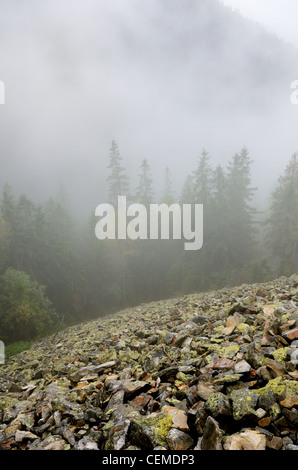 Pente pierreuse en montagnes boisées à travers le brouillard. Banque D'Images