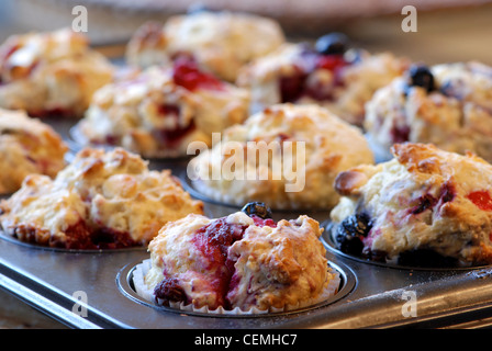 Des muffins fraîchement cuits au four avec pommes et poires et chocolat blanc Banque D'Images