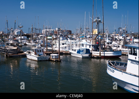 Westport avec les bateaux de pêche et location de bateaux de pêche au port de plaisance Banque D'Images