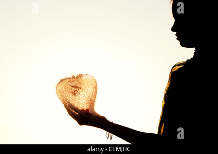 Indian girl holding a water balloon burst. Silhouette. L'Inde Banque D'Images