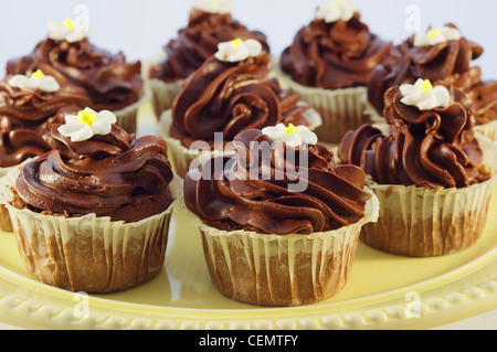 Petits gâteaux au chocolat avec crème chololate Banque D'Images