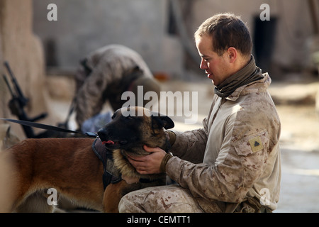 Im juste un amoureux de chien, Troy est un grand chien, Cpl. Javier Gandia a dit, 22 ans, chef de l'équipe de pompiers, de San Juan, Porto Rico. Son cool à être déployé et encore jouer avec un chien.Troy fait partie du programme de base de l'Armée de l'air de Lackland chiot et est identifié par une double lettre prénom. Cela signifie que ses parents étaient tous deux des chiens de travail militaires. Banque D'Images