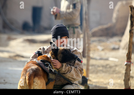 CPL. Derrick Magee, 21 ans, maître-chien du 2e Bataillon, 4e Marines, de Vineland, N.J. s'occupe de TTroy. TTroy fait partie du programme de base de la Force aérienne de Lackland pour chiots et est identifié par un prénom à double lettre. Cela signifie que ses parents étaient tous deux des chiens de travail militaires. Il est formé pour trouver des explosifs de qualité militaire et faits maison. Banque D'Images