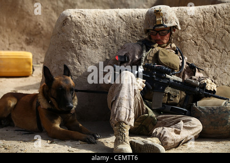 CPL. Derrick Magee, 21 ans, maître-chien du 2e Bataillon, 4e Marines, de Vineland, N.J., et son chien, TTroy, se reposent pendant une pause de patrouille. TTroy fait partie du programme de base de la Force aérienne de Lackland pour chiots et est identifié par un prénom à double lettre. Cela signifie que ses parents étaient tous deux des chiens de travail militaires. Il est formé pour trouver des explosifs de qualité militaire et faits maison. Banque D'Images