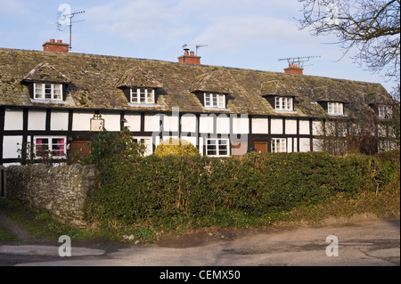 17e siècle l'aumône à ossature bois maisons en milieu rural pittoresque village anglais de Pembridge Herefordshire Angleterre UK Banque D'Images