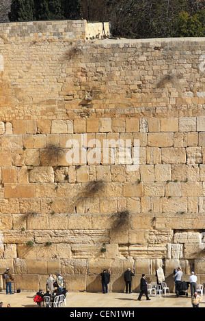 Les hommes prier au Mur Occidental ou Mur des Lamentations, au pied de la face ouest du Mont du Temple. Banque D'Images