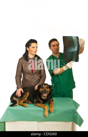 Femme avec l'homme à la recherche de chien vétérinaire sur X-ray image dans son bureau contre fond blanc Banque D'Images