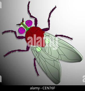 Fly cartoon, abstract vector art illustration ; image contient la transparence Banque D'Images
