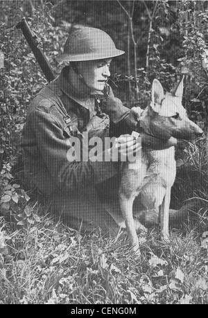 La guerre militaire armée britannique en service avec son chien-chien soldat. WW11 Banque D'Images