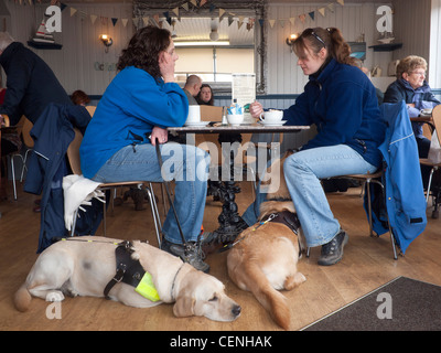 Deux femmes dans un café avec les chiens qui sont en cours de formation Banque D'Images