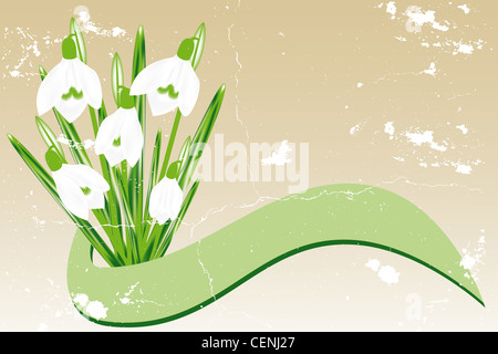 Perce-neige dessiné à la main et vintage bannière avec place pour le texte Banque D'Images