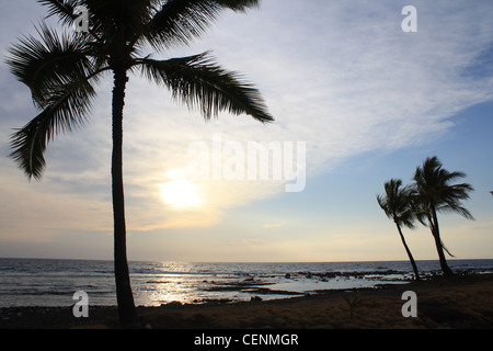 Keauhou Seascape tranquille plage de sable noir Hawaï Palmier Arbres Silhouette Voyage Tropical Paradise Banque D'Images