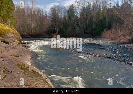 Les eaux rapides de la rivière Englishman Vancouver Island Parksville, Colombie-Britannique Canada Amérique du Nord. 8023 SCO Banque D'Images