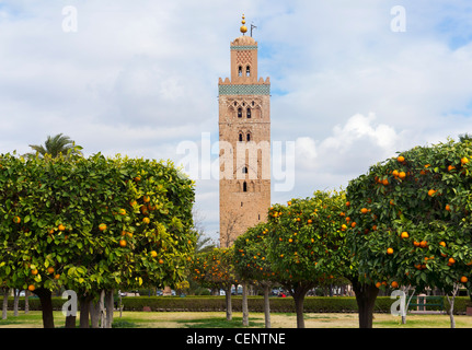 Le minaret de la Koutoubia la Koutoubia, les jardins de Marrakech, Maroc, Afrique du Nord Banque D'Images