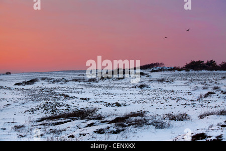 Coucher du soleil en hiver à la côte norvégienne, Moelen Banque D'Images