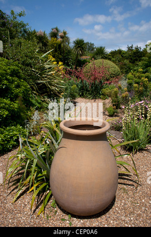 Denmans Gardens, nr Arundel Fontwell, West Sussex, Angleterre Banque D'Images