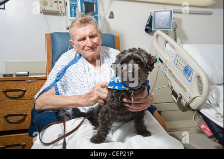 Visite de chien Vieil Homme Patient In Hospital Dans le cadre d'un la zoothérapie, Philadelphie USA Banque D'Images