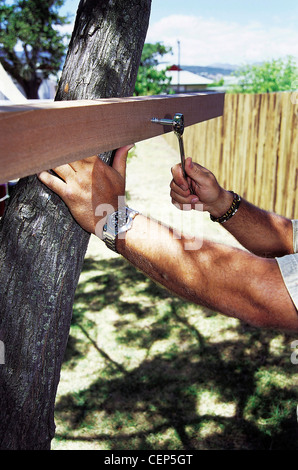 Un FORBuild Maison de l'arbre mâle étape vissant une planche de bois pour relier deux troncs d'arbre Banque D'Images