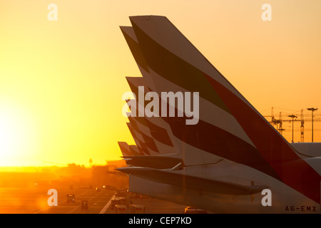 L'aéroport de Dubaï, Dubaï (Émirats arabes unis) - 23 décembre 2011 : une rangée d'Emirates International Airlines avions avec unis logo sur la queue. Banque D'Images