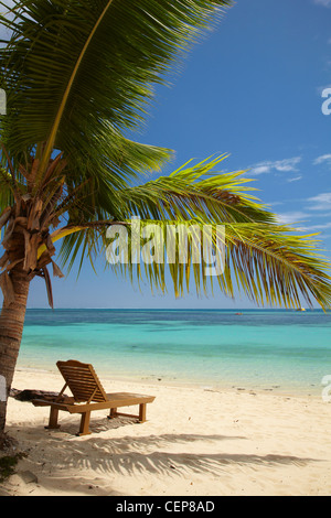 Plage, palmiers et transats, Plantation Island Resort, Malolo Lailai Island, Yasawa Islands, Fidji, Pacifique Sud Banque D'Images