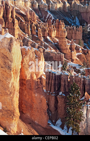 La lumière réfléchissante éclaire les nombreuses cheminées avec des chutes de neige d'automne de Sunset Point dans l'Utah, le Parc National de Bryce Canyon. Banque D'Images