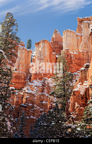 Les cheminées s'élèvent le long du sentier en boucle Navajo dans l'Utah Bryce Canyon National Park. Banque D'Images