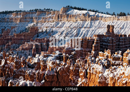 Lumière du matin baigne l'amphithéâtre rempli de neige de cheminées de Sunset Point dans l'Utah, le Parc National de Bryce Canyon. Banque D'Images