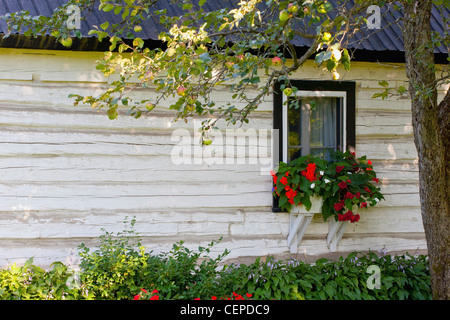 Log home et boîte à fleurs dans la fenêtre ; iron hill, Québec, Canada Banque D'Images