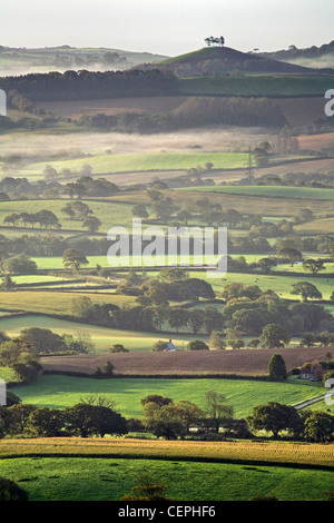 Colmers hill, Marshwood Vale, Dorset, UK Banque D'Images