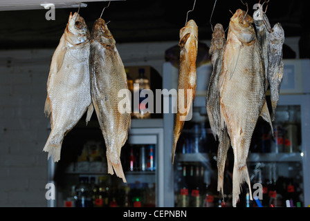 L'Ukraine. République autonome de Crimée. Koktebel. Le poisson séché suspendu dans un restaurant. Banque D'Images