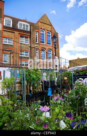 Une fleur au Columbia Road Flower Market en face de Colombie-Britannique l'école primaire. Banque D'Images