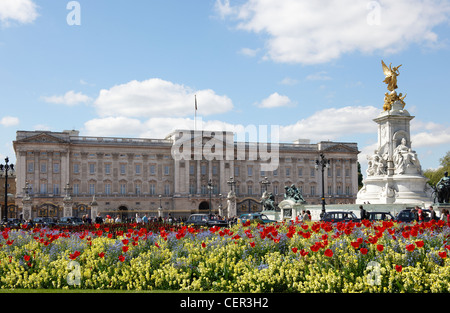 L'Édifice commémoratif Victoria devant le palais de Buckingham avec des tulipes au premier plan. Banque D'Images