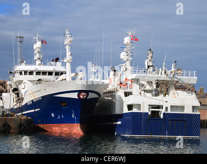 Bateaux de pêche dans le port de Peterhead Banque D'Images