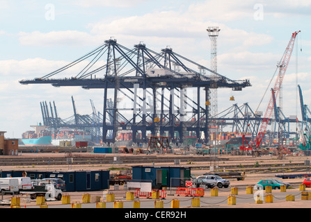 Grues du port de Felixstowe, le plus important port à conteneurs du Royaume-Uni. Banque D'Images