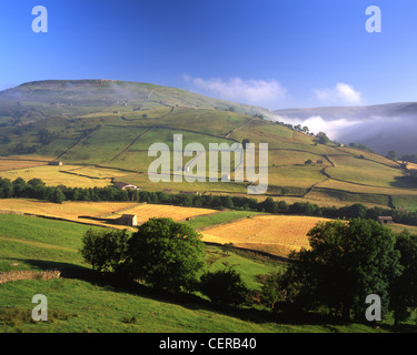 Kisdon Hill de Swaledale. Au-dessus de Muker il y a de superbes vues sur la mosaïque de prairies et de la région de granges Swaledale et th Banque D'Images